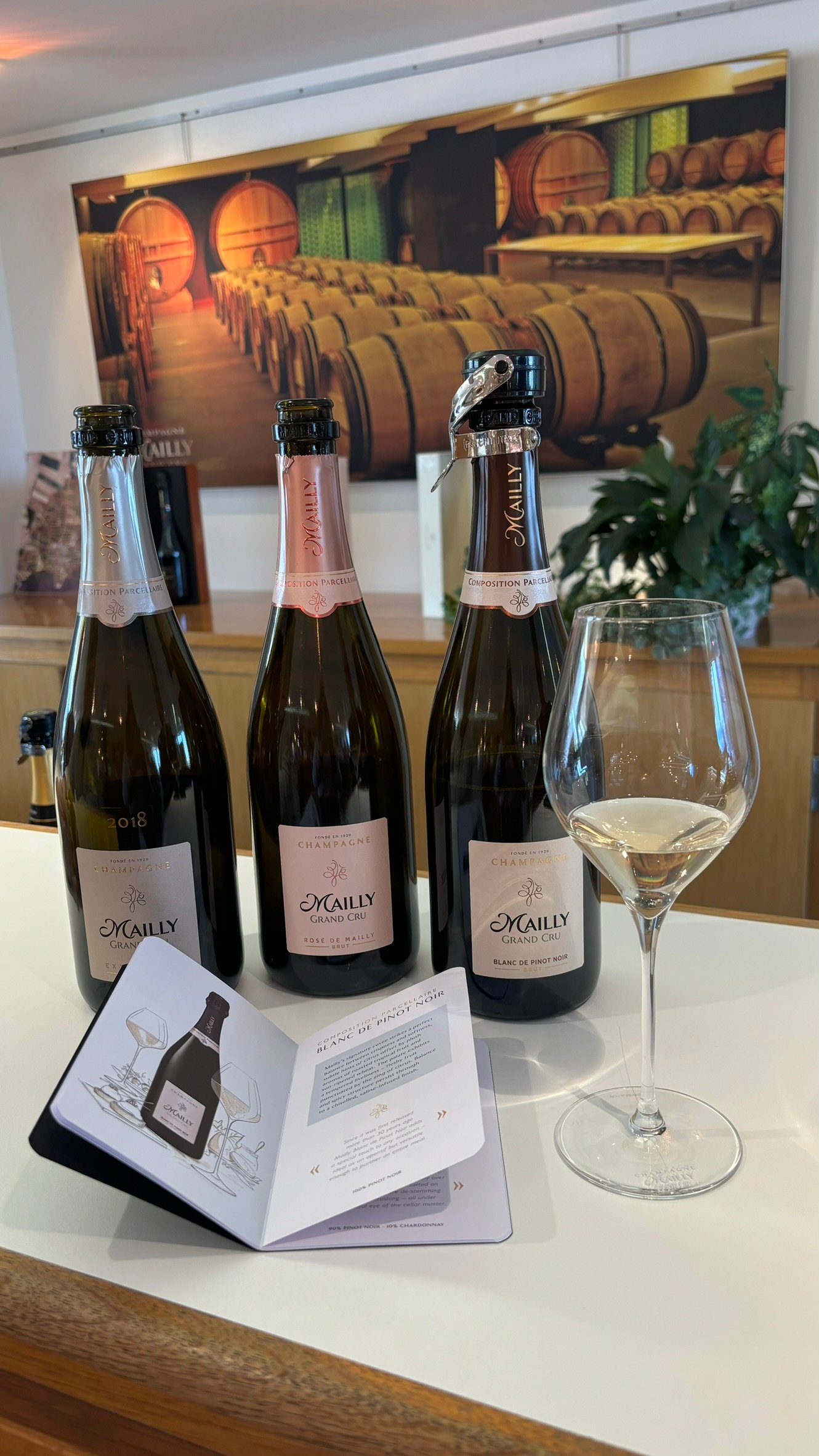 Mailly Grand Cru Champagne region